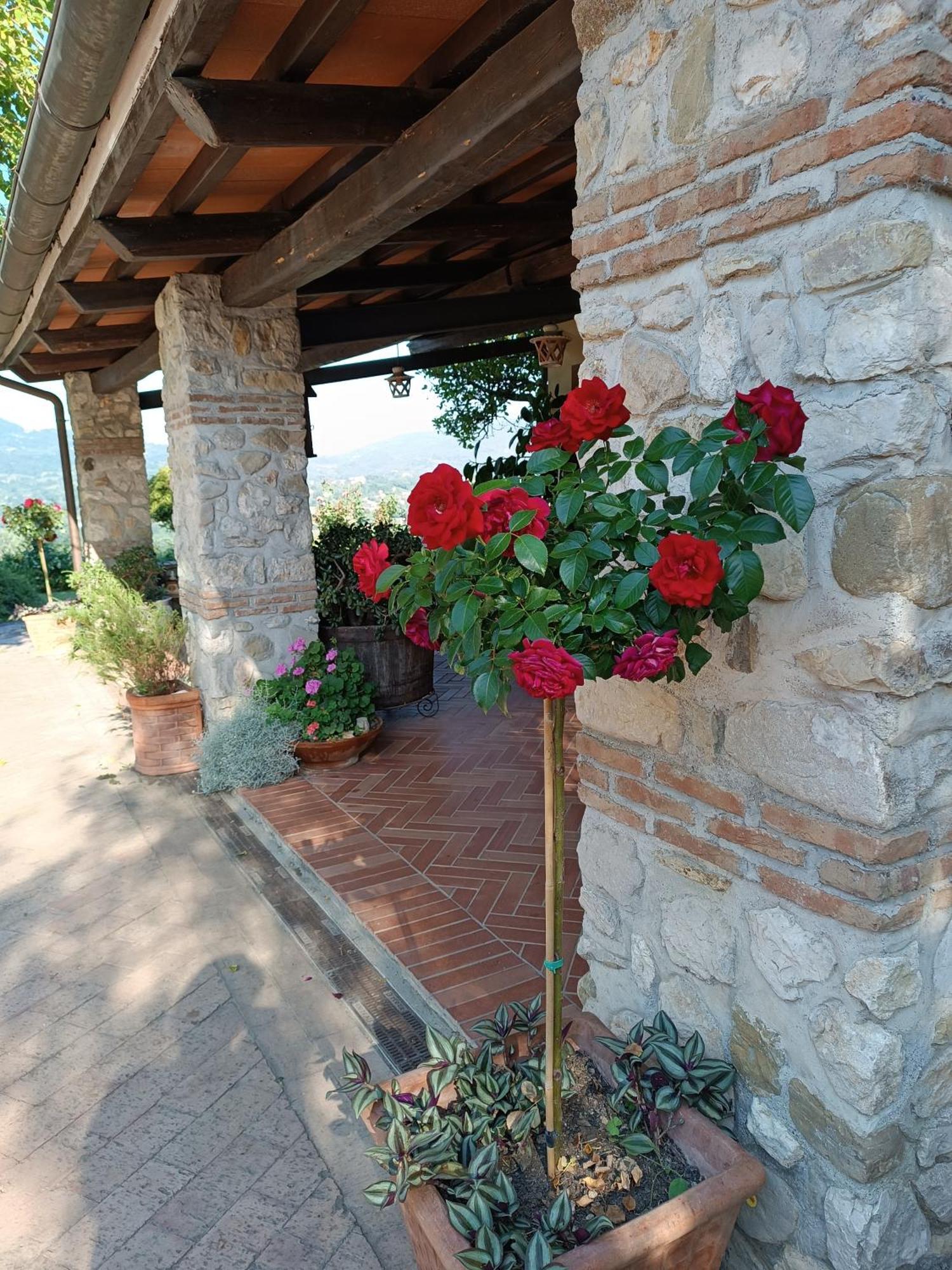 Santa Lucia B&B Caiazzo Ngoại thất bức ảnh